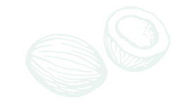 coconut image